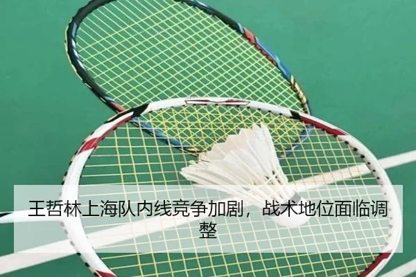 wang-zhe-lin-shang-hai-dui-nei-xian-jing-zheng-jia-ju-zhan-shu-di-wei-mian-lin-tiao-zheng-2-779.jpg