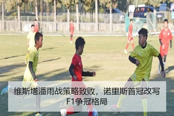 维斯塔潘雨战策略致败，诺里斯首冠改写F1争冠格局