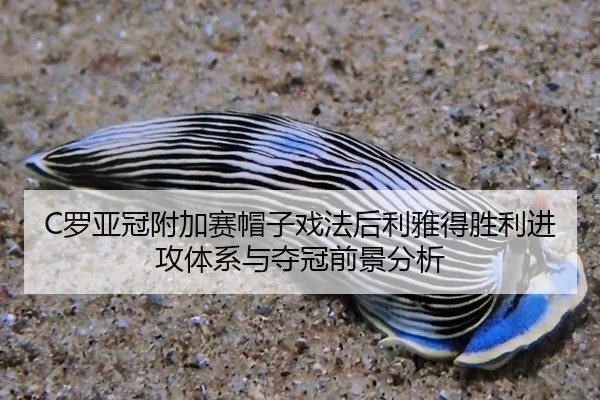 C罗亚冠附加赛帽子戏法后利雅得胜利进攻体系与夺冠前景分析